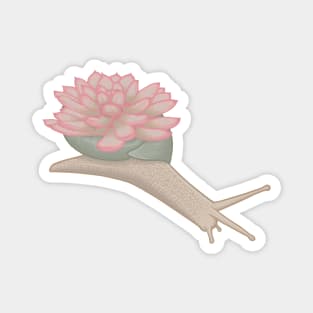 Pink Succulent Snail Magnet