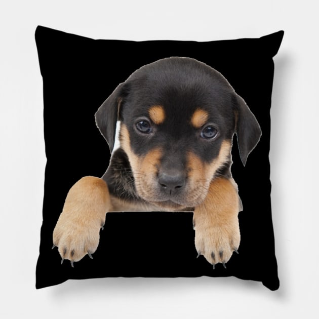 Pooch In My Pocket: Cute Puppy Pillow by cameradog