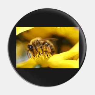 Bee in the wild Pin