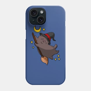 Cute Kittens - The broom Phone Case