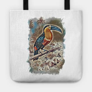 Toucan Beautiful Bird Jungle Forest Illustration Tote