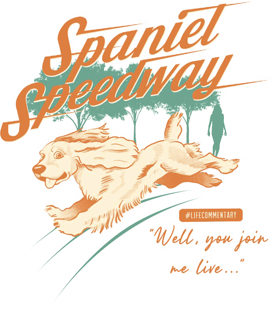 Spaniel Speedway Dog Kids T-Shirt by simsmarissa