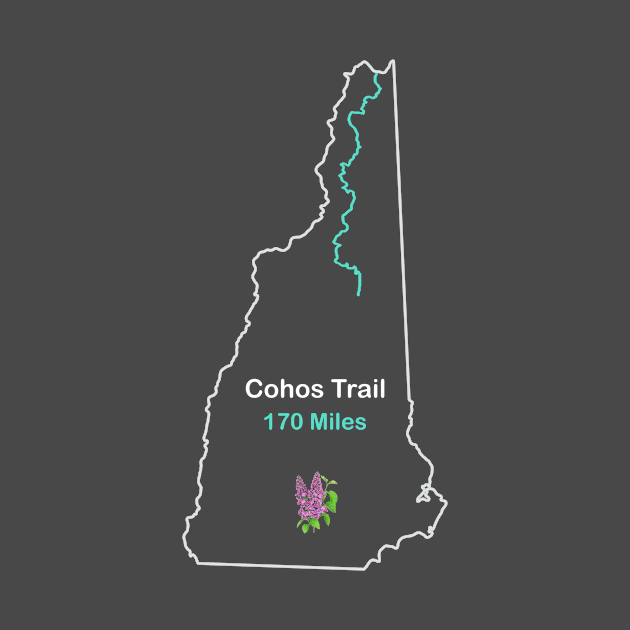 Cohos Trail in New Hampshire by numpdog