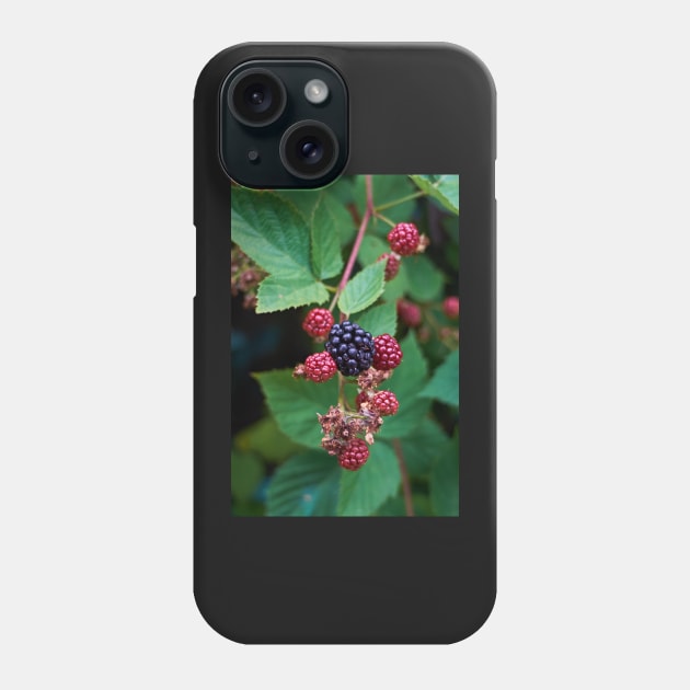 Blackberry Phone Case by mbangert