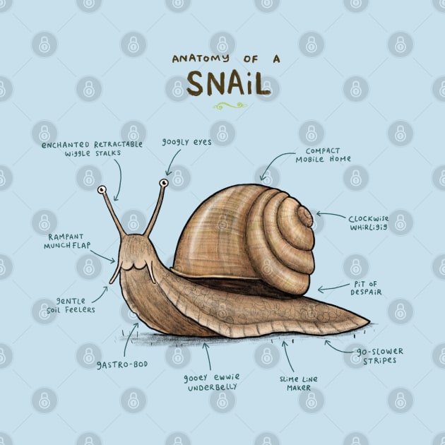 Anatomy of a Snail by Sophie Corrigan