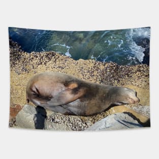 A Rocky Bed Tapestry