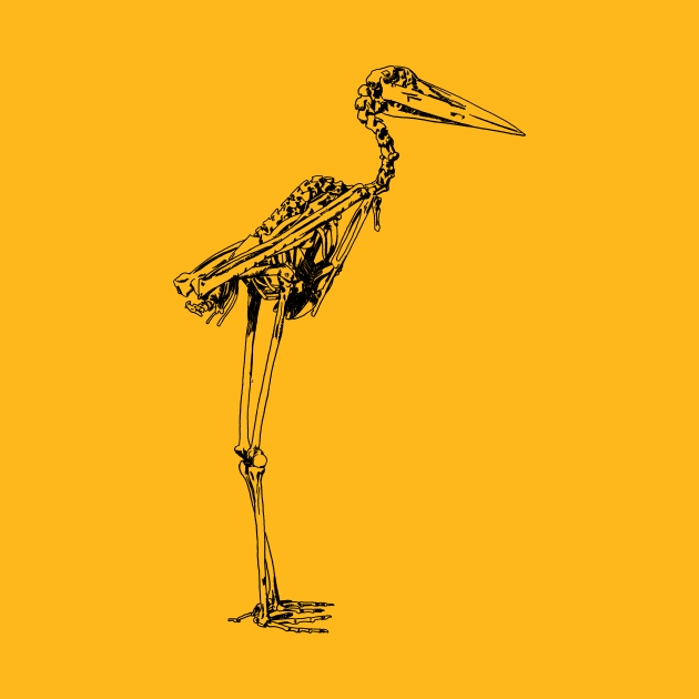 Stork Skeleton by Little Birds