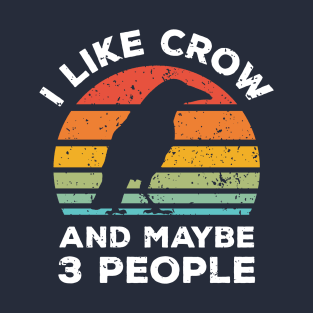 I Like Crow and Maybe 3 People, Retro Vintage Sunset with Style Old Grainy Grunge Texture T-Shirt