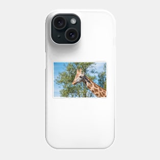 Close up photo of a Rothschild Giraffe head Phone Case