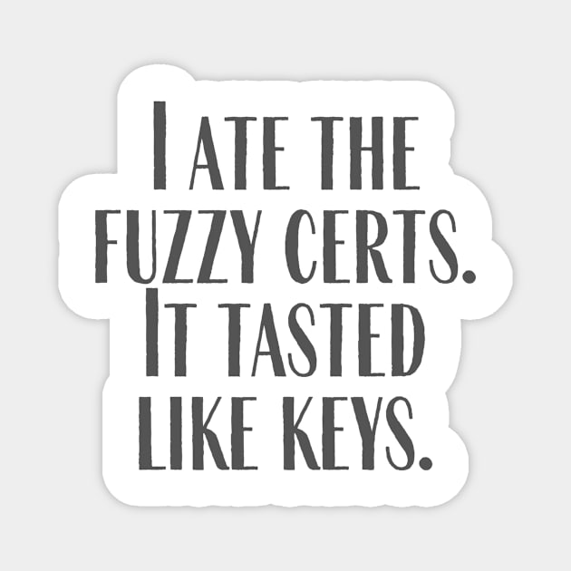 Like Keys Magnet by ryanmcintire1232