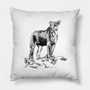 Lioness Ink Drawing Pillow