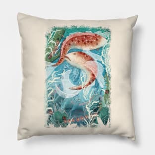 River Ramblers Pillow