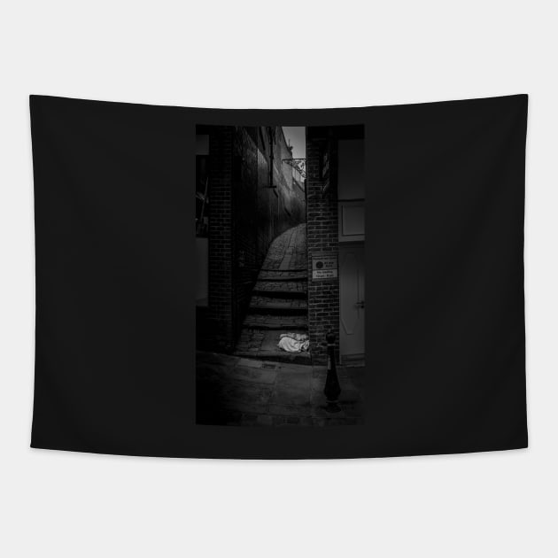 Beggars Blanket Tapestry by axp7884