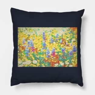 Colors 164 Pillow