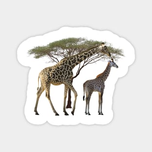 Giraffe-Mama with a Baby - Safari in Kenya / Africa Magnet