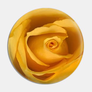 Yellow rose Pin