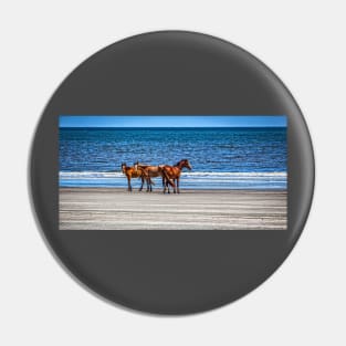 Wild Horses at Cumberland Island National Seashore Pin