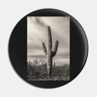 Saguaro Pin