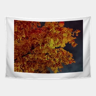 Autumn leaves and cloudy sky Tapestry