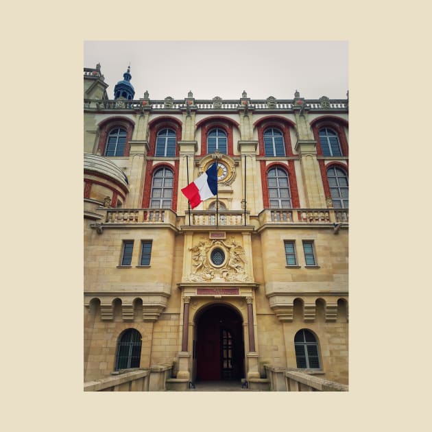 National Museum of Archaeology France by psychoshadow