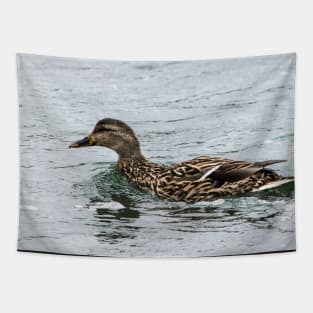 Female Mallard Duck Tapestry