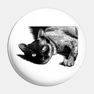 Snuggly Cat Pin