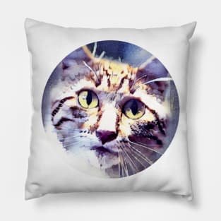 Catlike mycat, revolution for cats Pillow