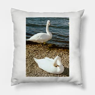 Swan song Pillow