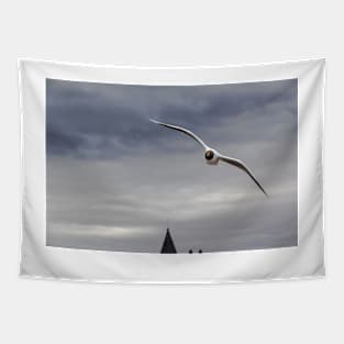 Gliding Seagull in Harsh Winds - Puerto Natales, Chile Tapestry