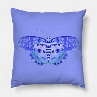 Hyacinth Tiger Moth Pillow