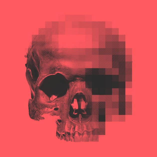 Digital Skull by OsFrontis