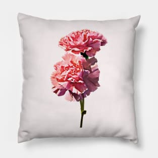 Two Pink Carnations Pillow