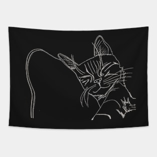 Cat Napping Tapestry