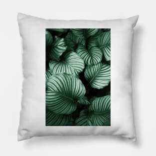 Tropical Lush Palm Leaves Pillow