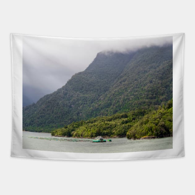 Chilian Fjord Tapestry by algill