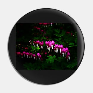 Asian Bleeding Heart Flowers Pin