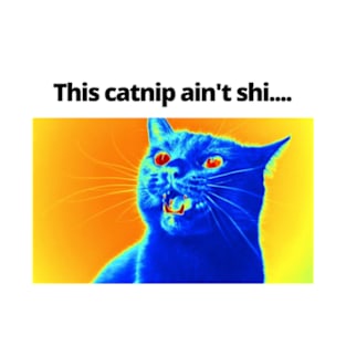 This catnip ain't shi... T-Shirt