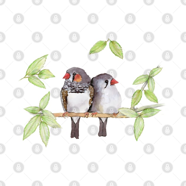 Sweet couple of zebra finches by Bwiselizzy