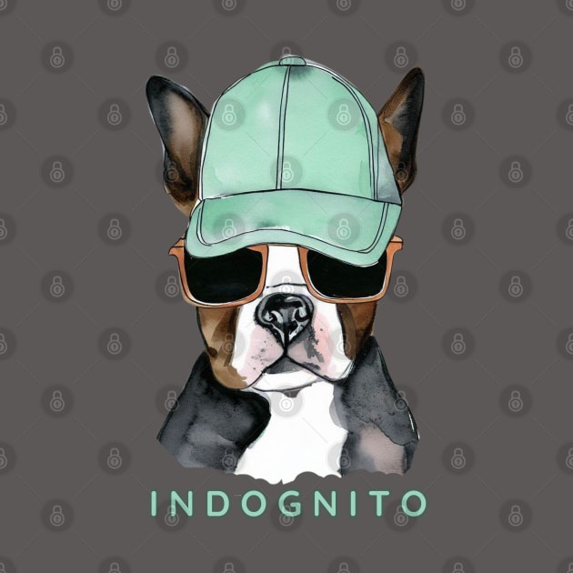 Boston Terrier Indognito by ZogDog Pro