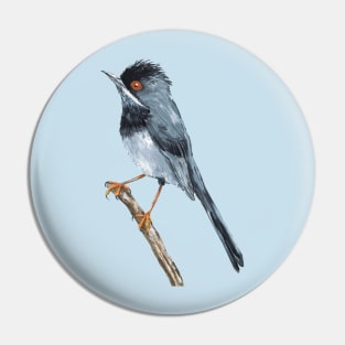 Rüppell's warbler Pin