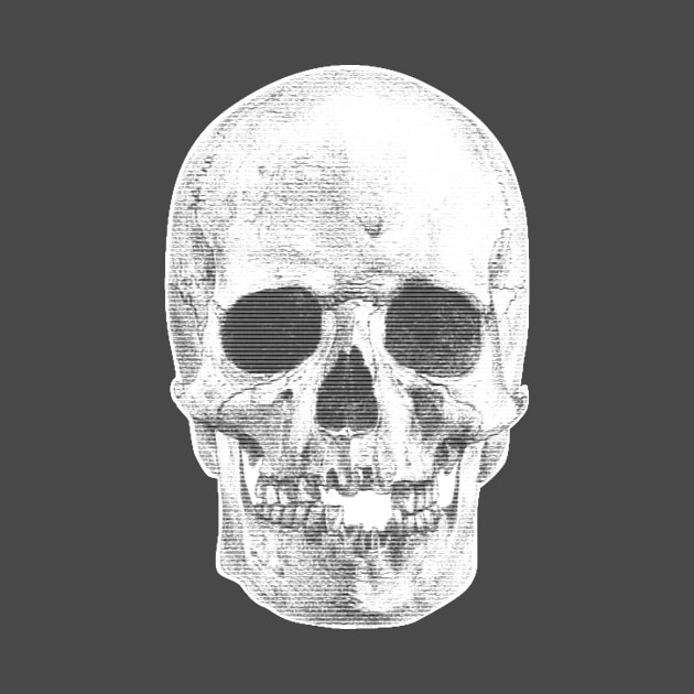 Just a skull by WFDJ