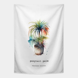 Ponytail Palm, Mexican Plant Tapestry