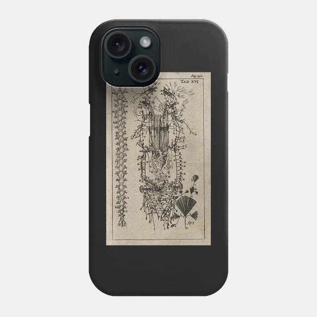 The Nervous System, Unknown, 1686 Phone Case by nickedenholm