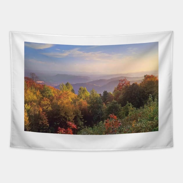 Deciduous Forest In Autumn Blue Ridge Mountains From Doughton Park Tapestry by RhysDawson