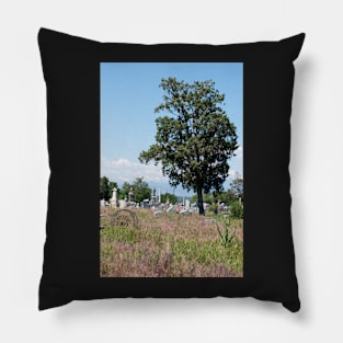 A Resting Place Pillow