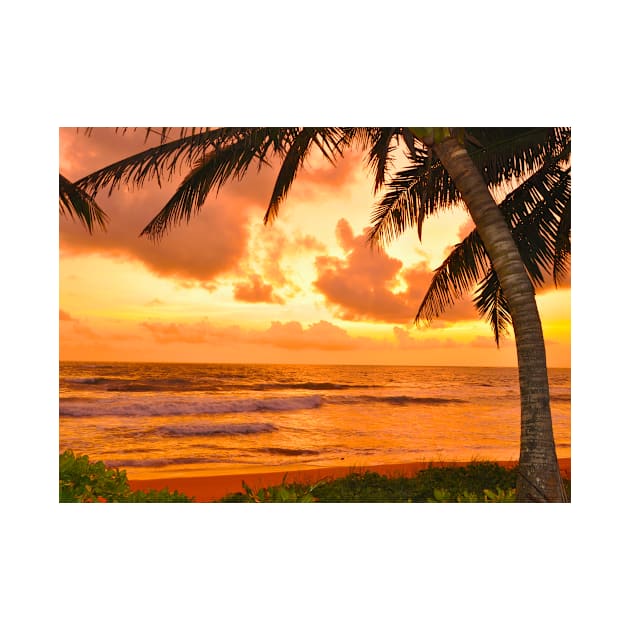 Tropical Ocean Sunset by NewburyBoutique