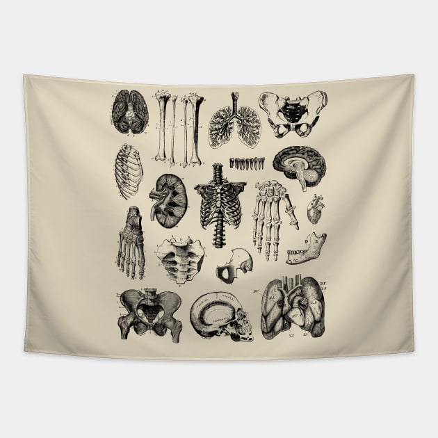 Human Anatomy Tapestry by jdrdesign