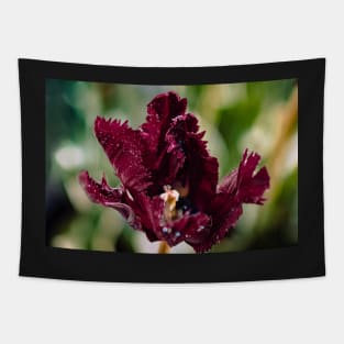 Black parrot tulip in the sun Tapestry