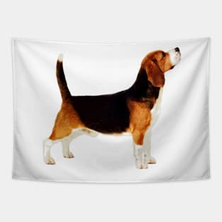 Cute Stacked Beagle Tapestry