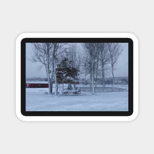 Winter landscape, snowy winter trees. Magnet